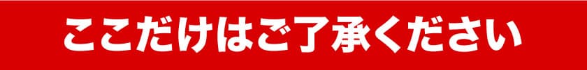 ここだけはご了承ください